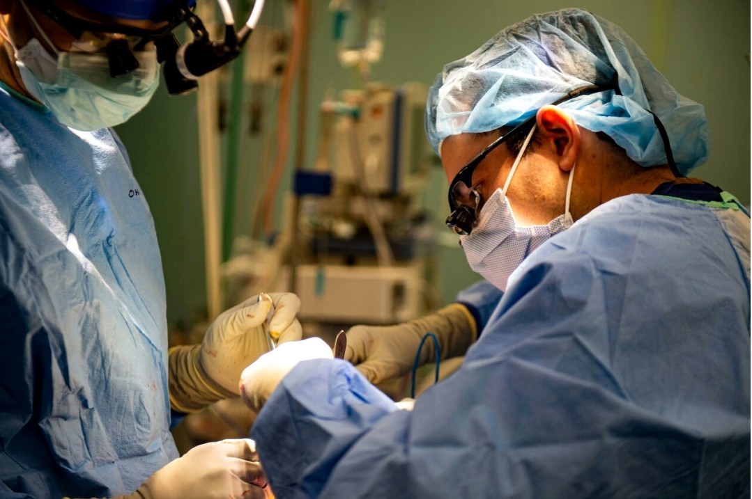 डेटा प्रोटेक्शन