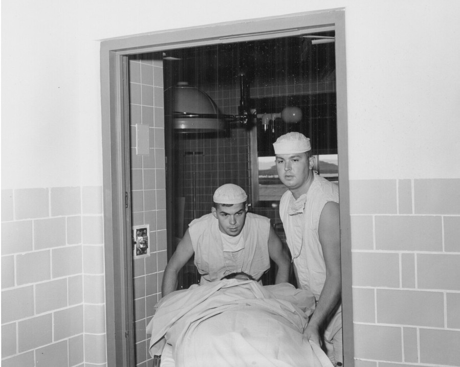 आयुर्वेदिक परामर्श