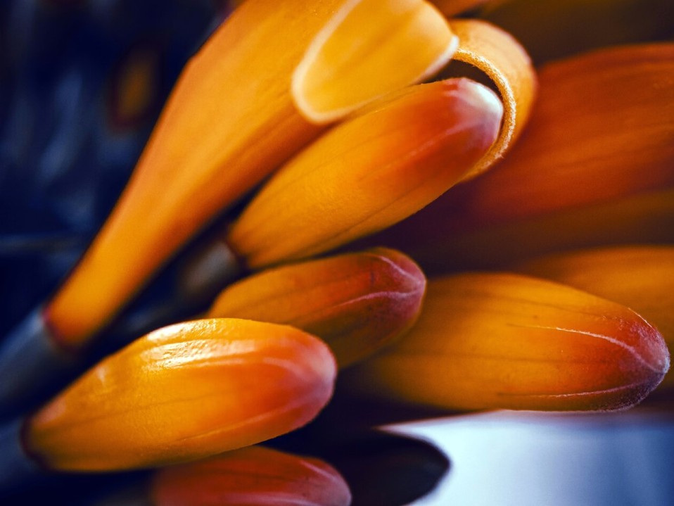 योग प्रारम्भ